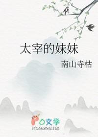 精灵宝可梦最强训练家