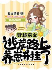 龙舞九天简介