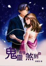 我老婆凤傲天作者天地皆入梦