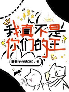 最强炊事兵全文免费阅读