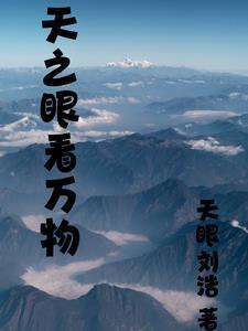 兵王传奇辰南免费阅读收藏