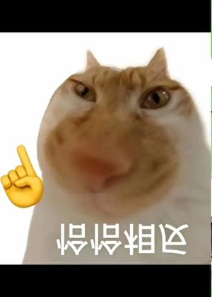超级干炮系统这书好看吗